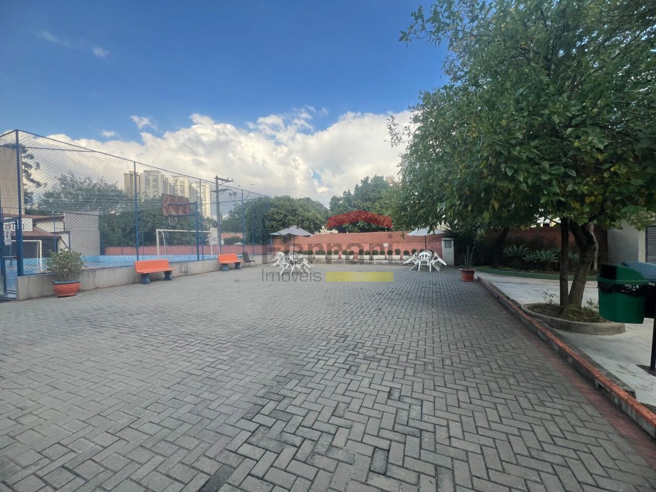 Foto 19