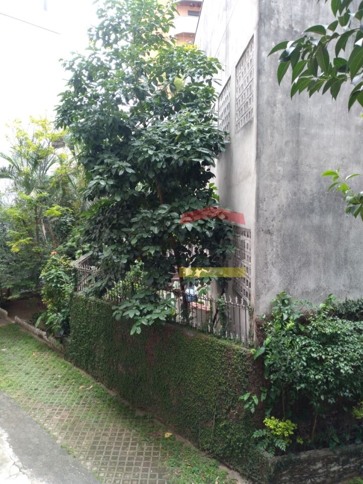Foto 31