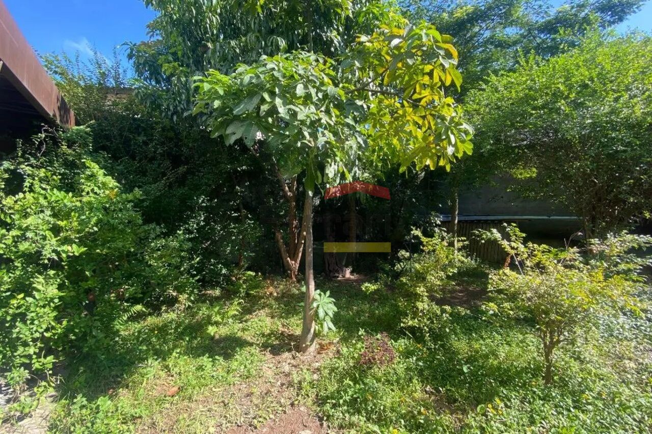 Foto 35