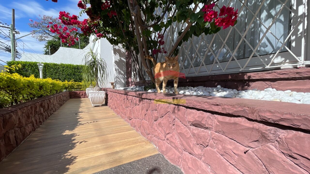 Foto 46