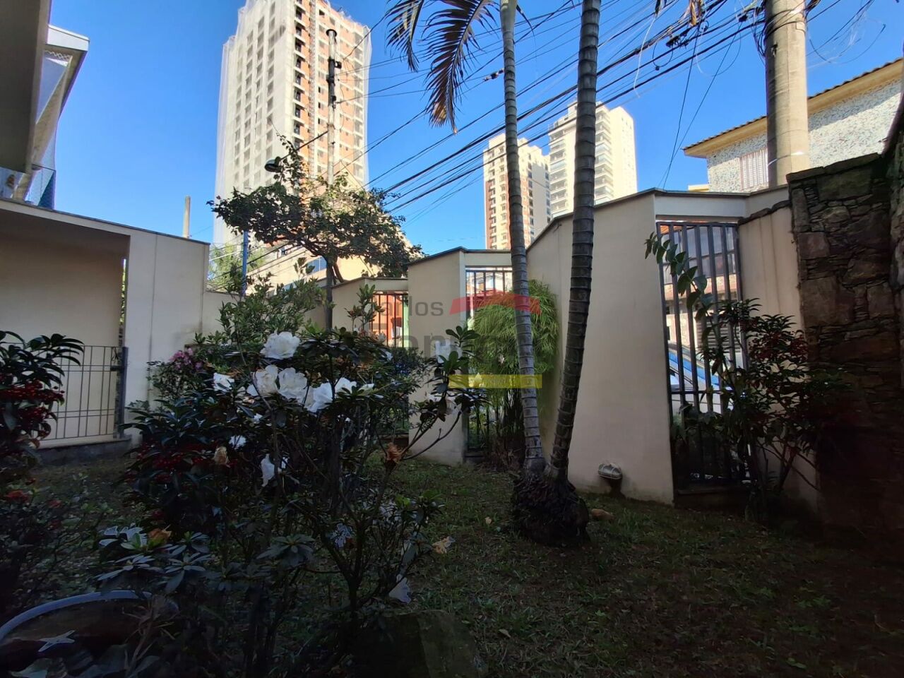 Foto 45