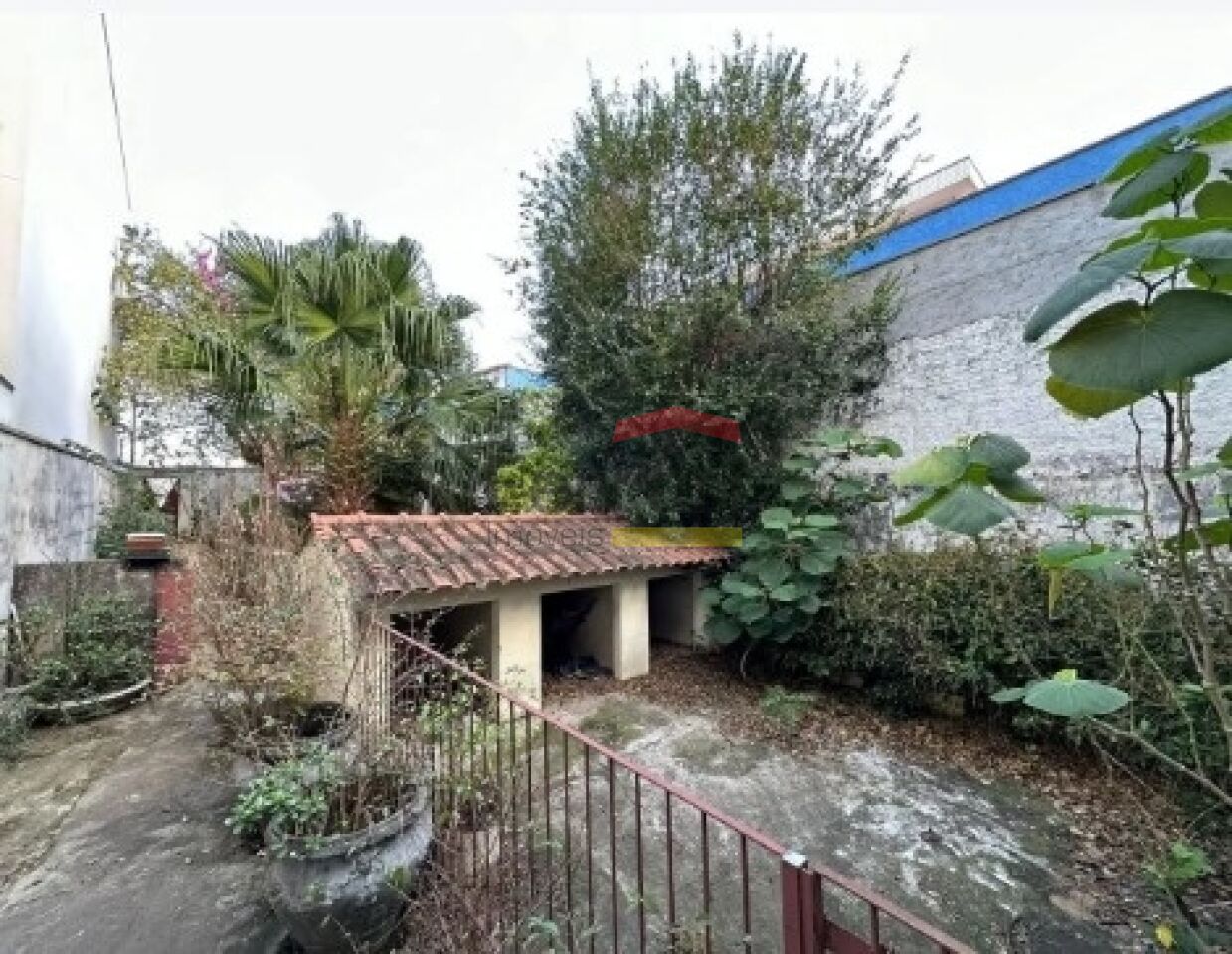 Foto 11