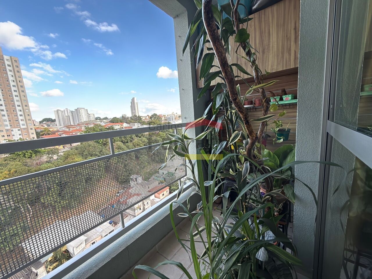 Foto 15