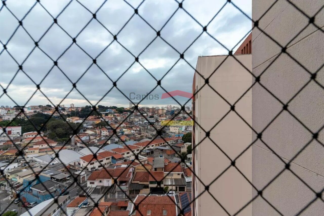 Foto 33