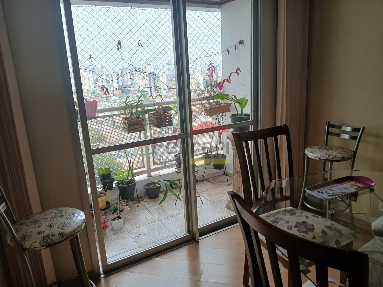 Foto 1