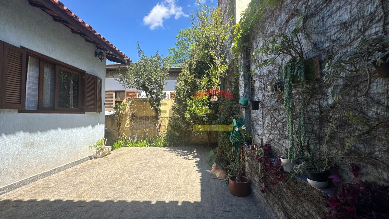 Foto 45