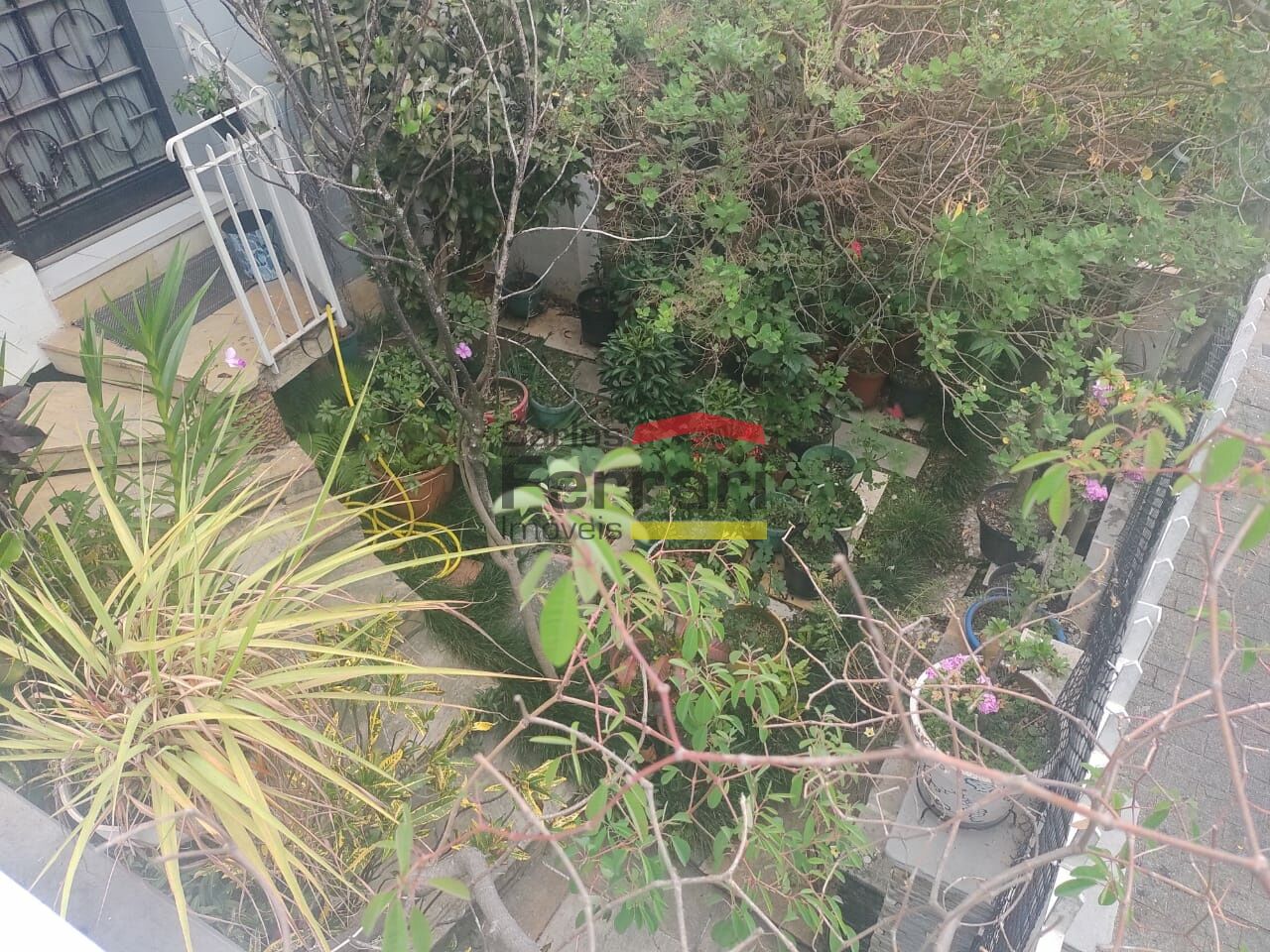Foto 31