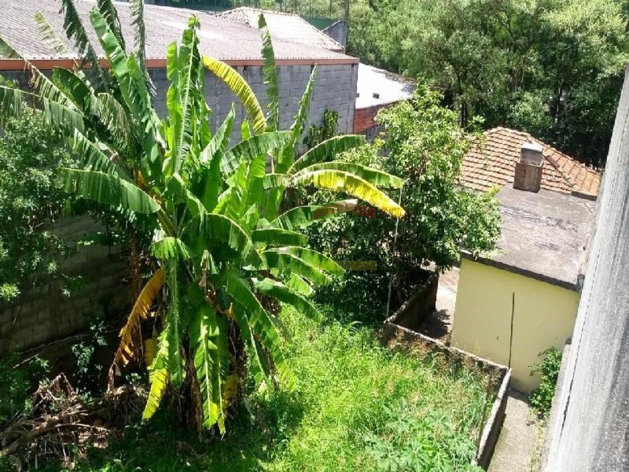 Foto 12