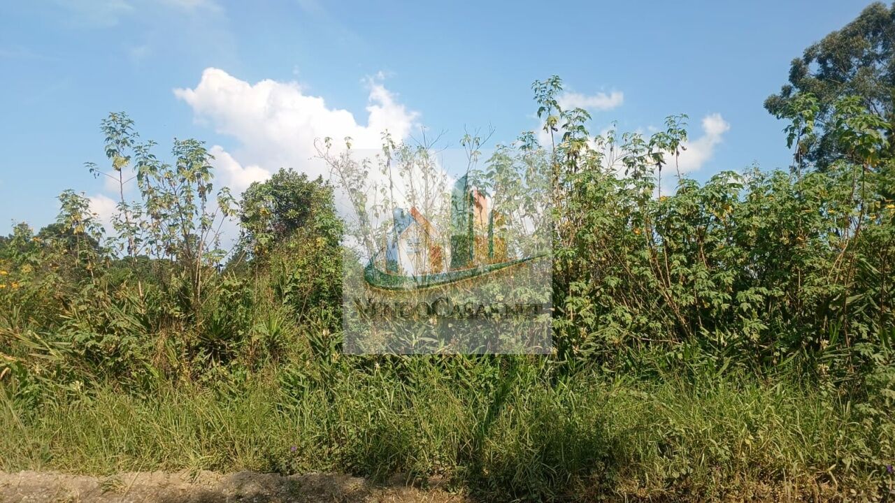 Loteamento e Condomínio, 1 hectares - Foto 11