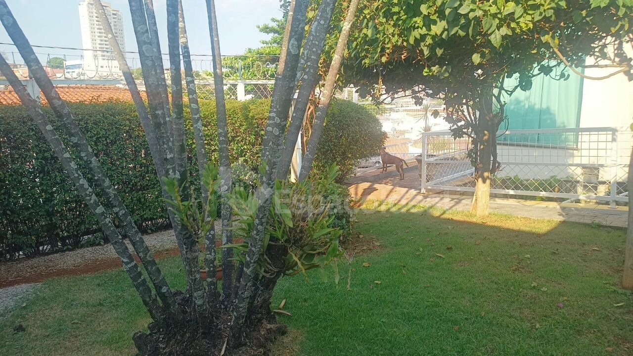 Casa, 4 quartos, 560 m² - Foto 20