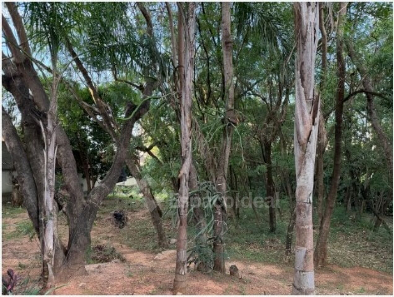 Apartamento, 2 quartos, 53 m² - Foto 9