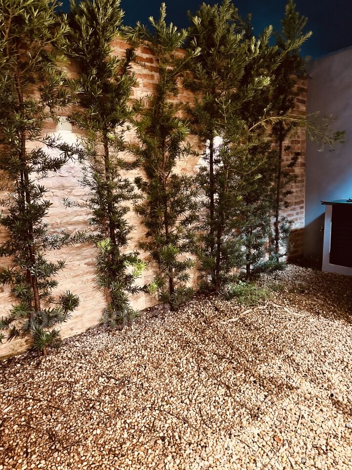 Casa de Condomínio, 2 quartos - Foto 7