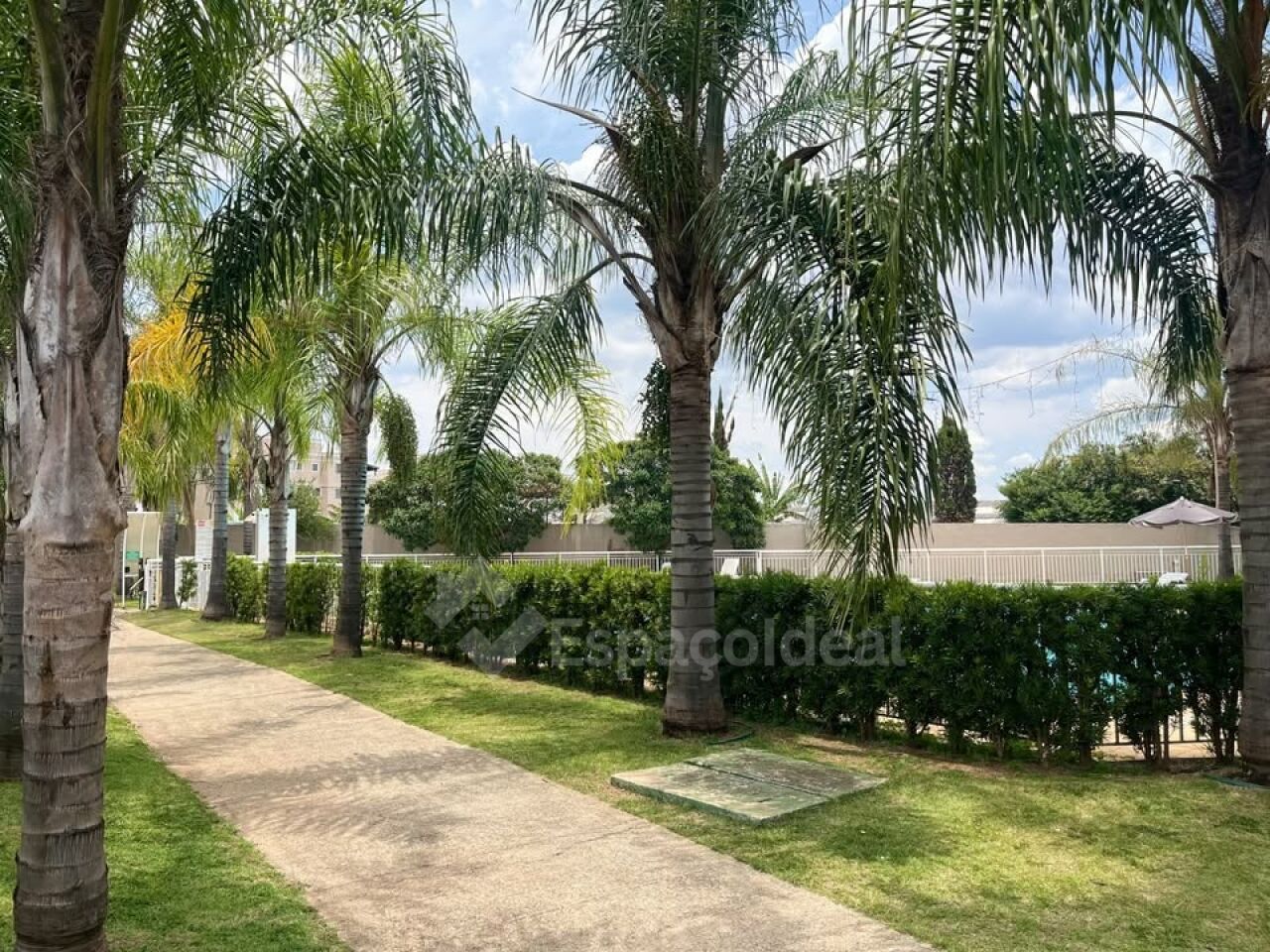 Apartamento, 3 quartos, 66 m² - Foto 5