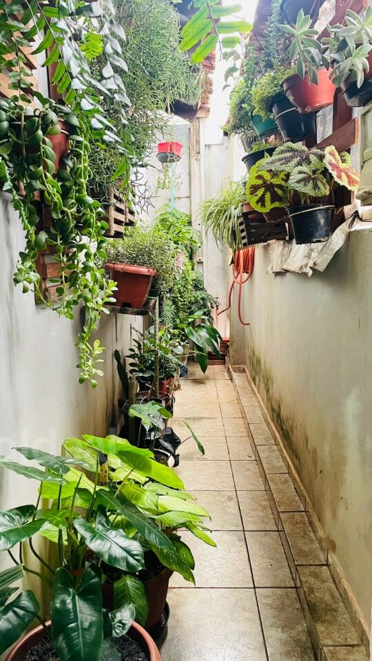 Casa, 3 quartos, 130 m² - Foto 23