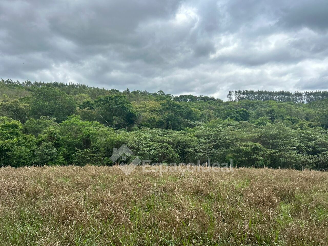 Fazenda à venda, 42000 - Foto 12