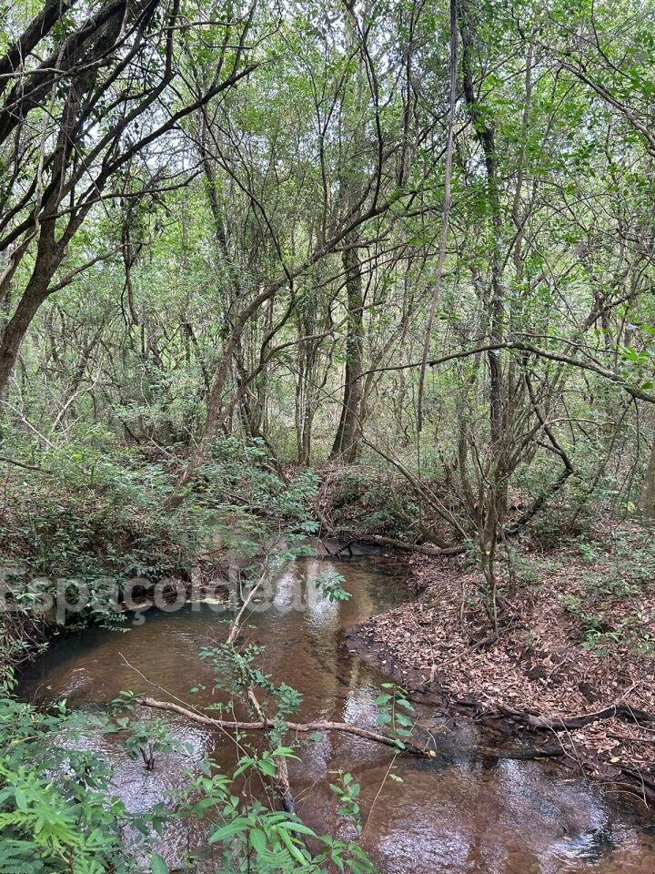 Fazenda à venda, 42000 - Foto 18