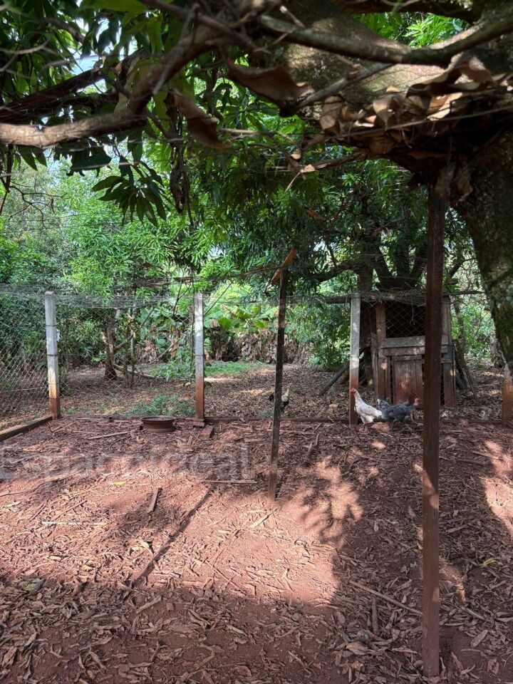 Chácara, 3 quartos, 1 hectares - Foto 12