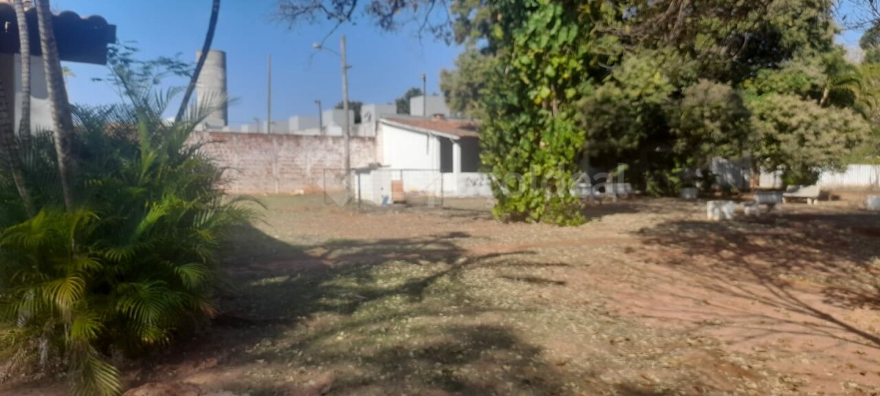 Terreno, 7498 m² - Foto 11