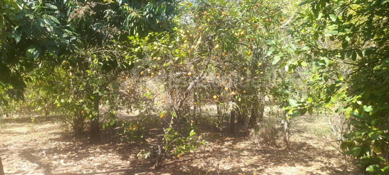 Terreno, 7498 m² - Foto 40