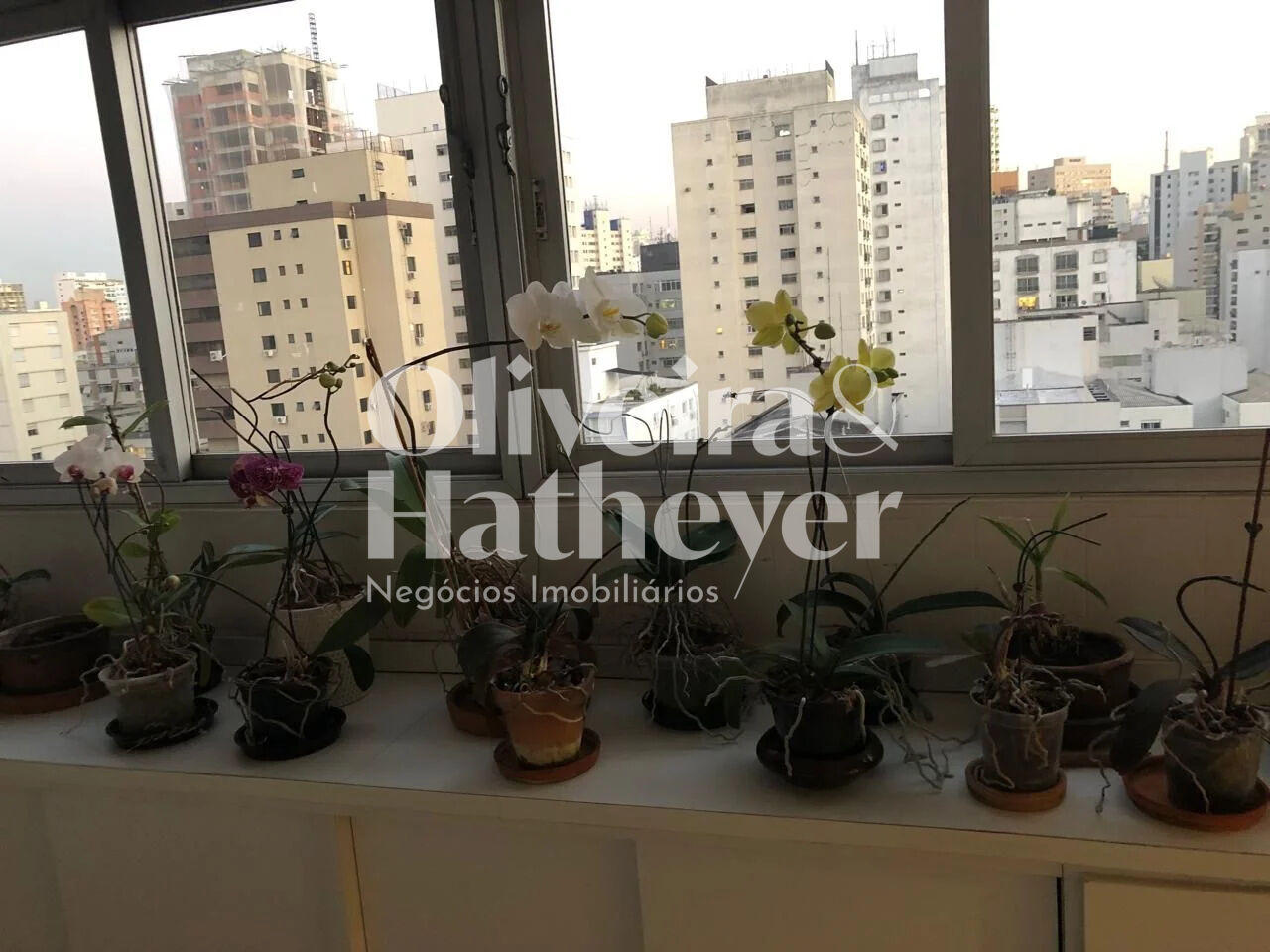 Apartamento para Venda - Santa Cecília