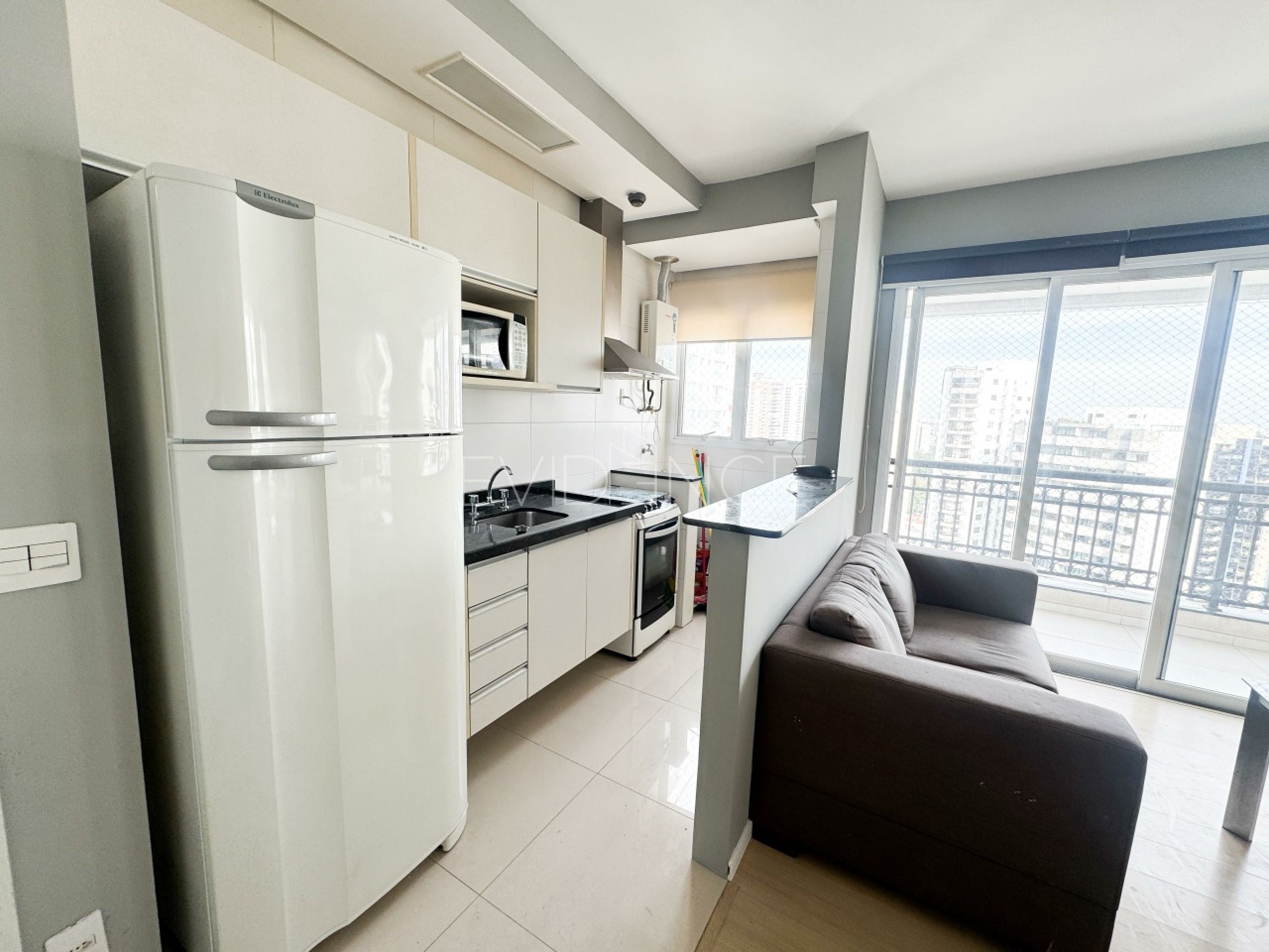 Apartamento com 40m², 1 dormitório, 1 vaga no bairro Vila Regente Feijó em São Paulo