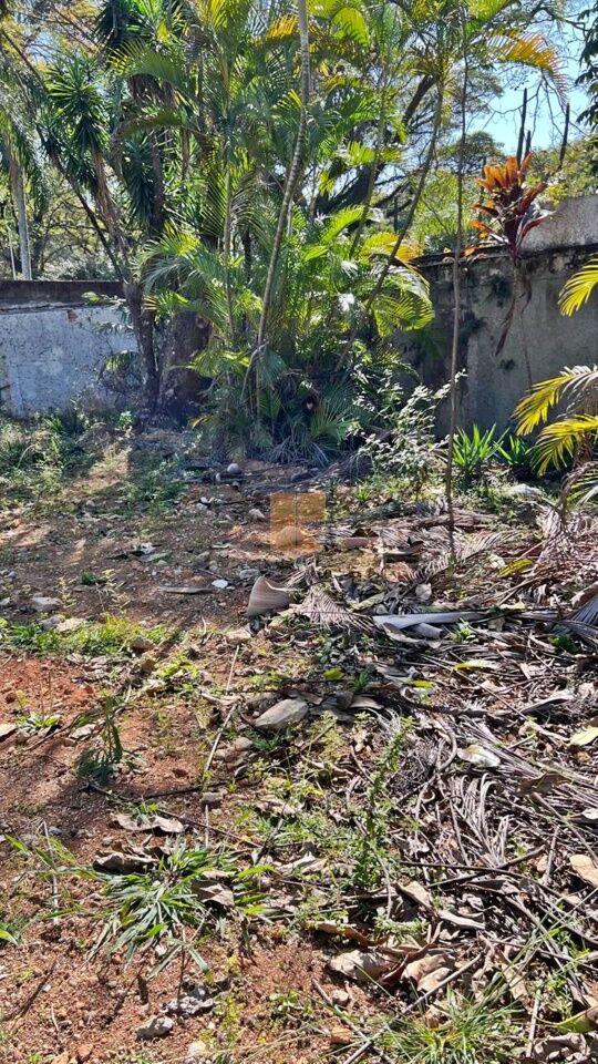 Terreno para Venda - Jardim Luzitânia
