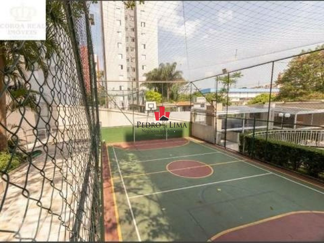 Apartamento na Região da Vila Matilde 