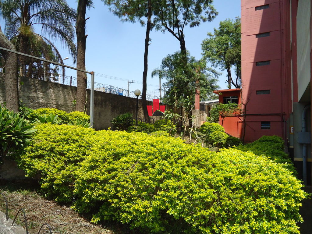 Cond Cangaíba