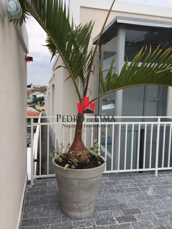 Jardins da Cidade