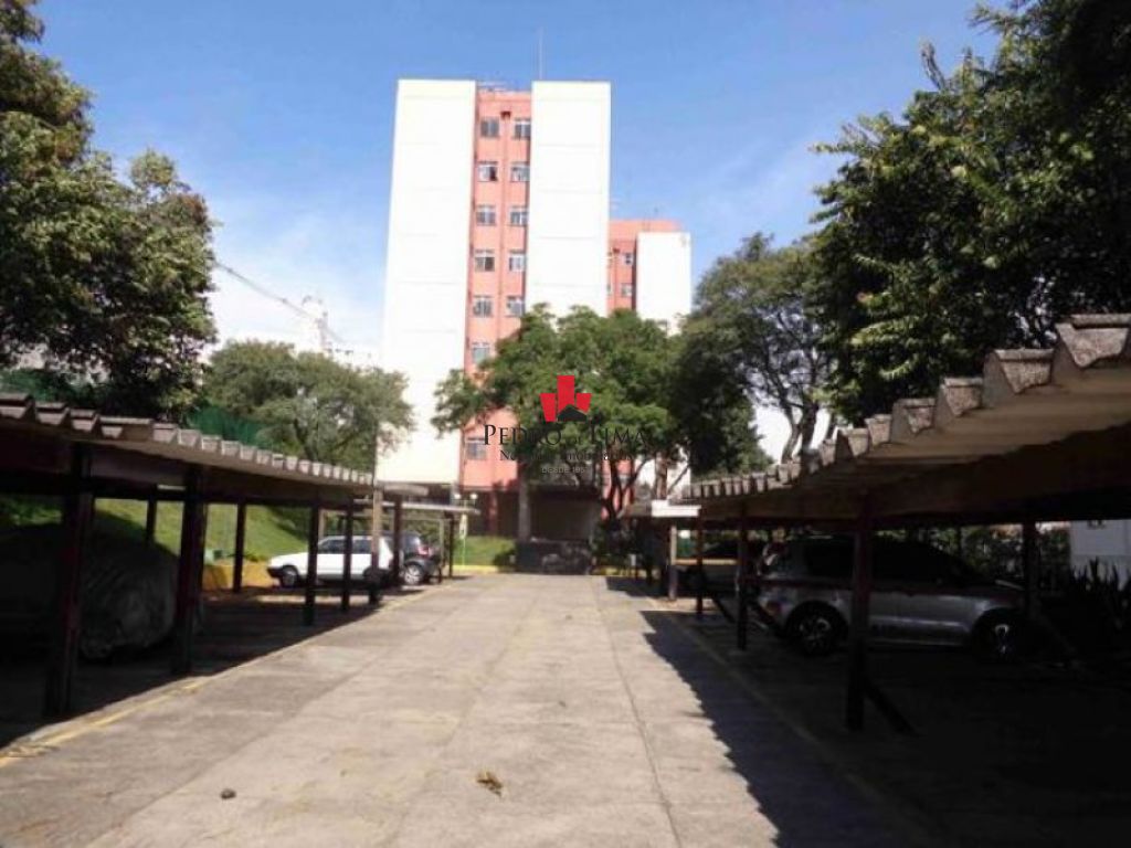 Aguia de Haia