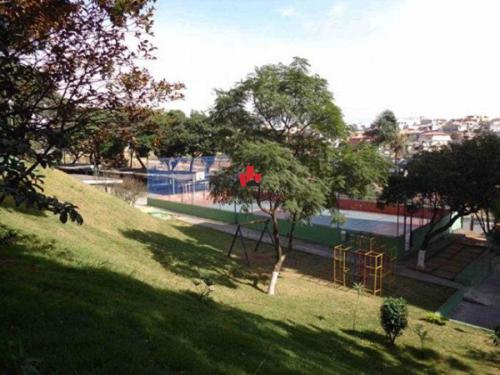 Aguia de Haia