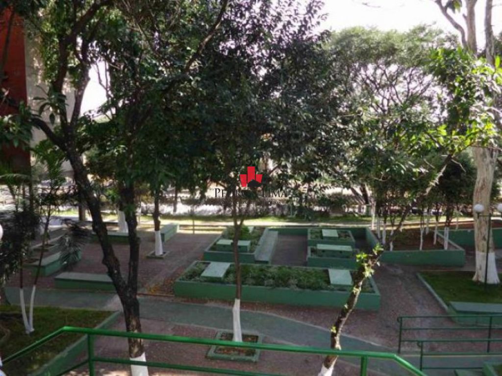 Aguia de Haia