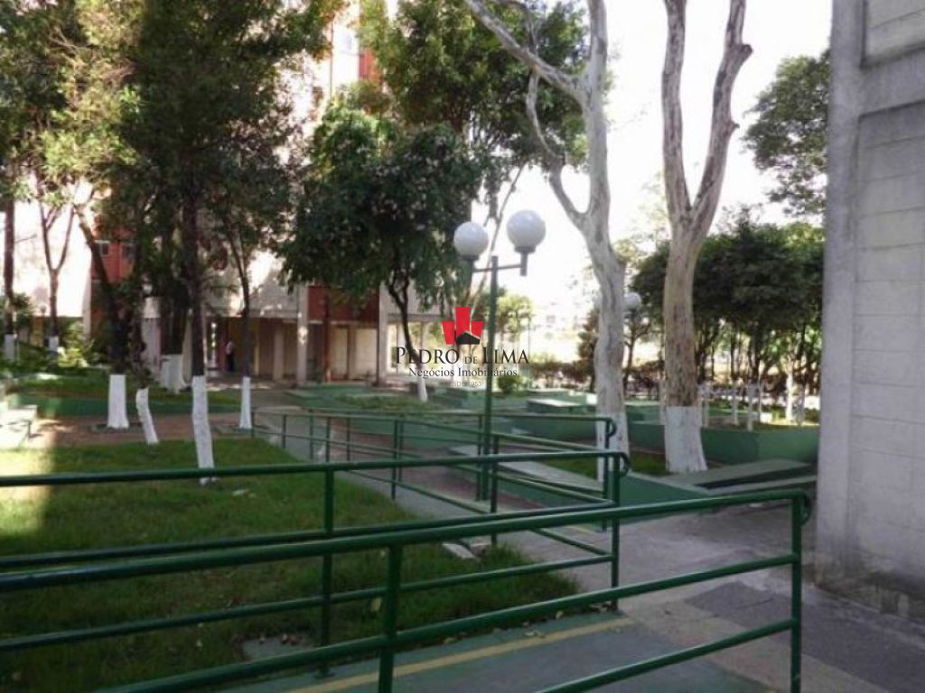 Aguia de Haia