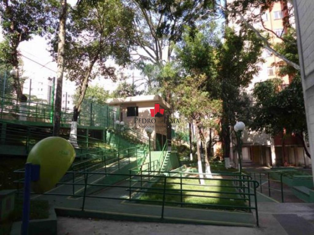 Aguia de Haia