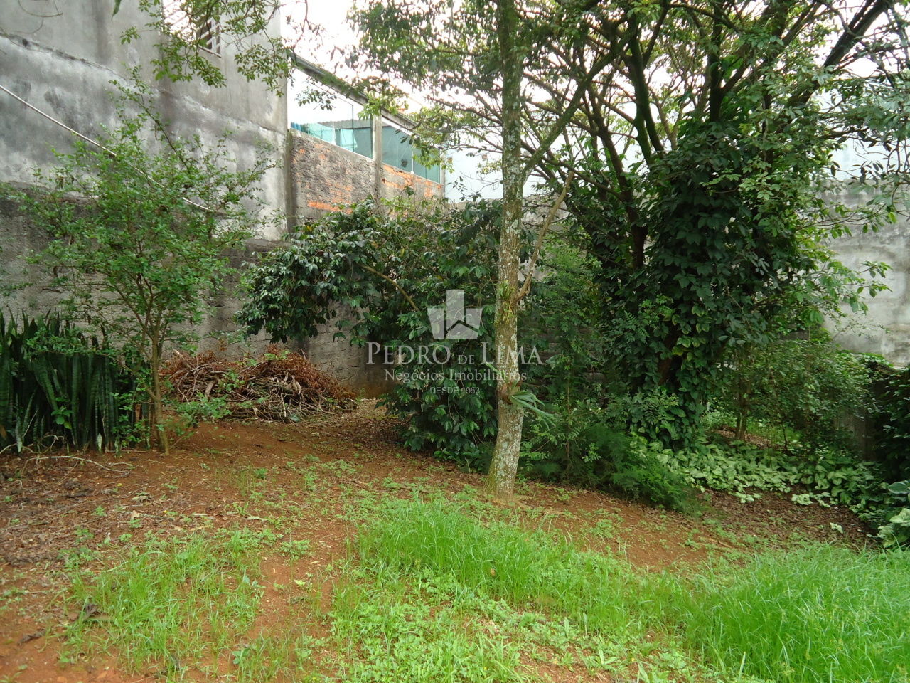  Casa Térrea 500 m² em Itaquera
