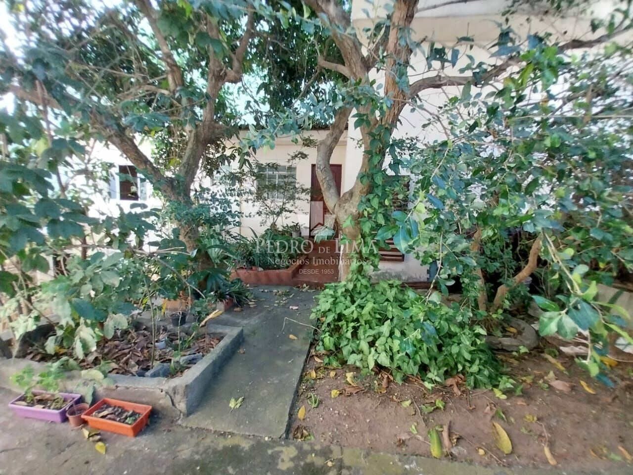 Casa com 3 dormitórios e 3 vagas à venda, 130 m² - Parque Cruzeiro do Sul - São Paulo