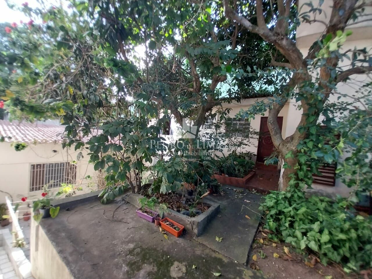 Casa com 3 dormitórios e 3 vagas à venda, 130 m² - Parque Cruzeiro do Sul - São Paulo
