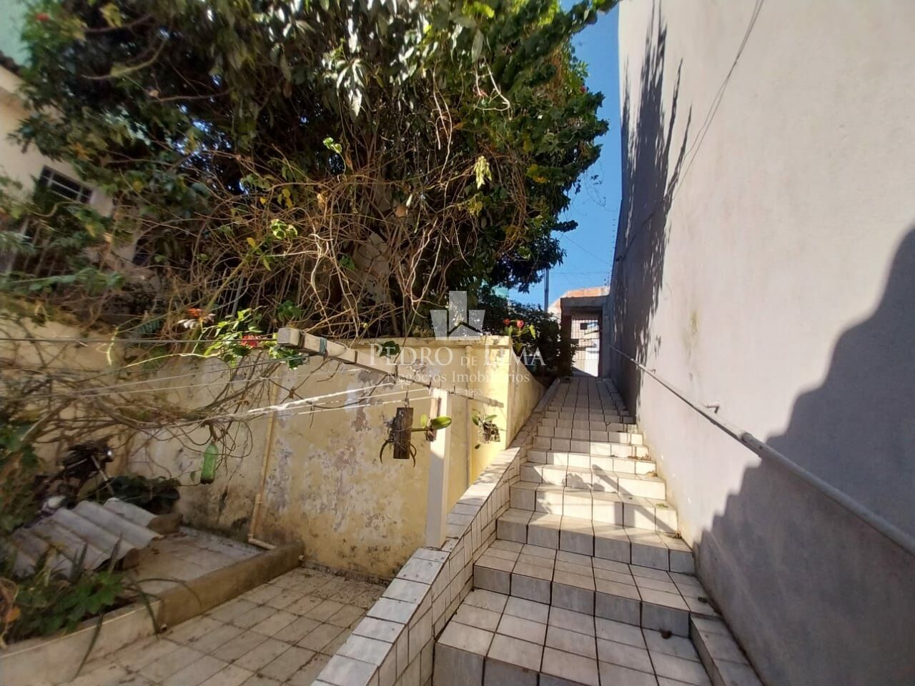 Casa com 3 dormitórios e 3 vagas à venda, 130 m² - Parque Cruzeiro do Sul - São Paulo