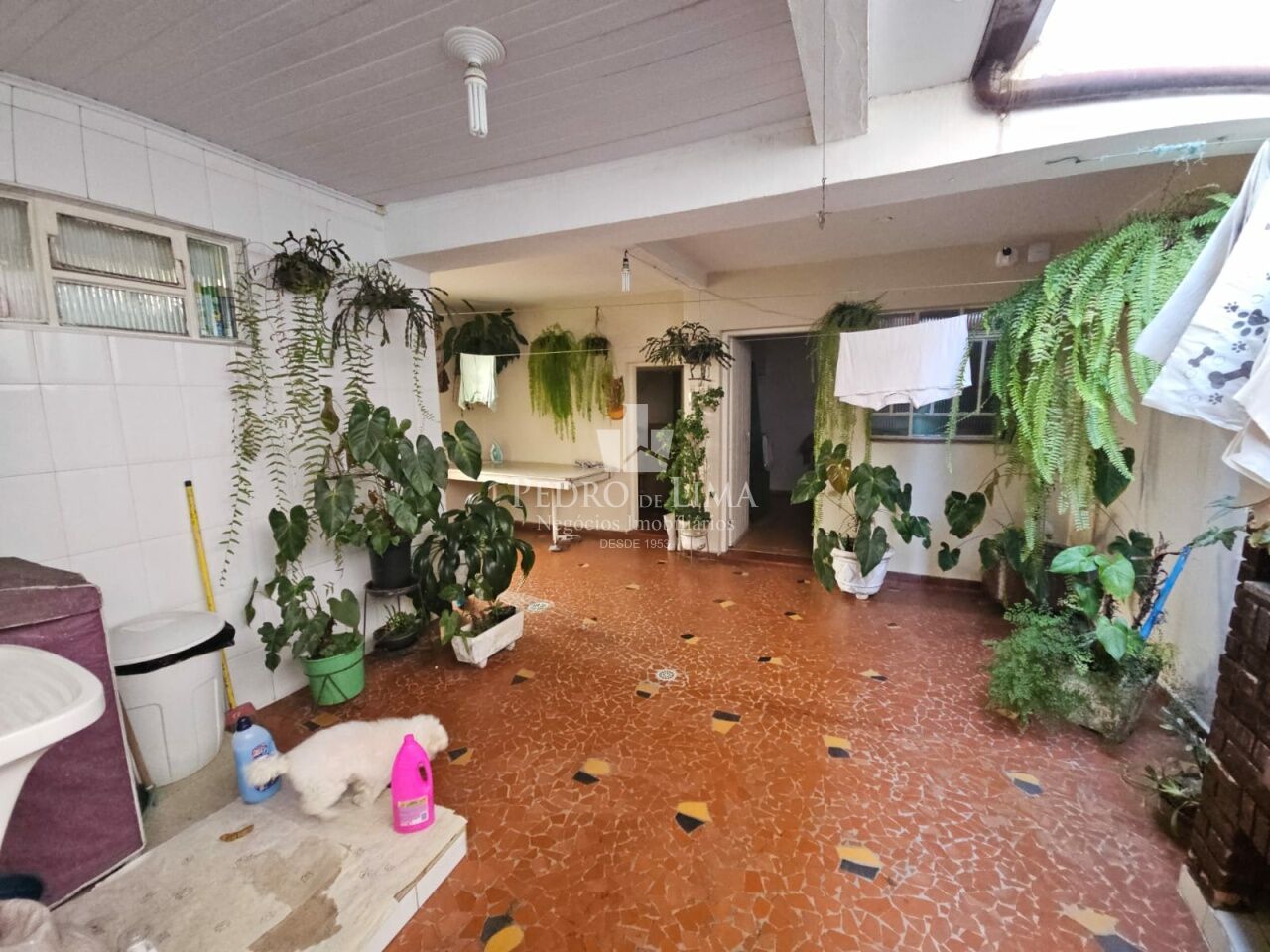 Casa Assobradada no Cangaíba