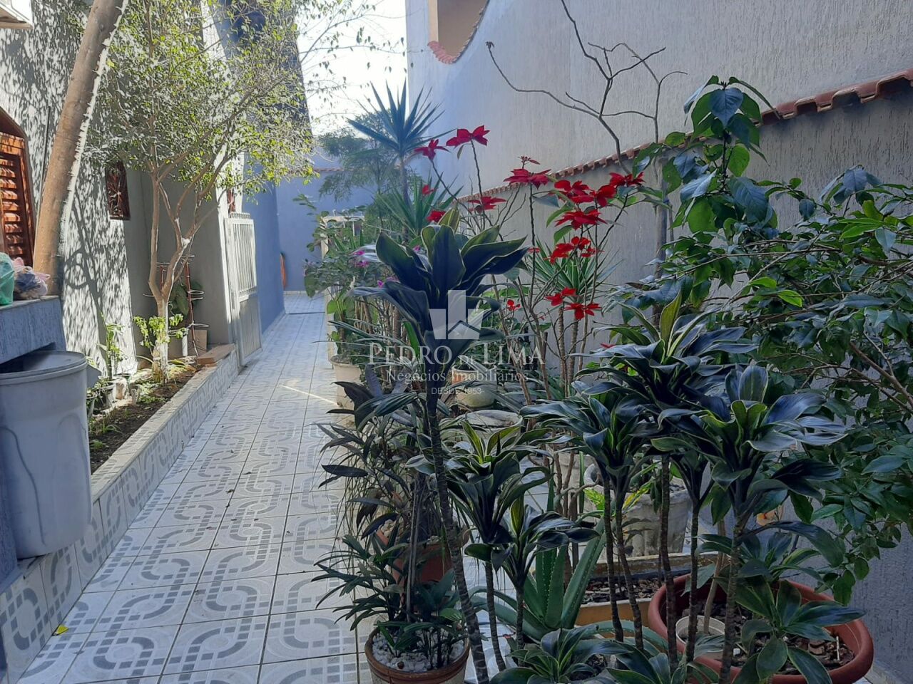 Casa Térrea em São Miguel