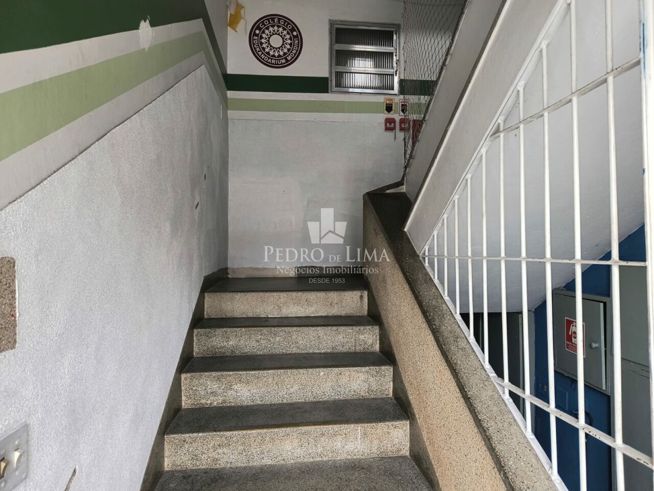 Conjunto Comercial 13 Salas na Vila São Francisco 