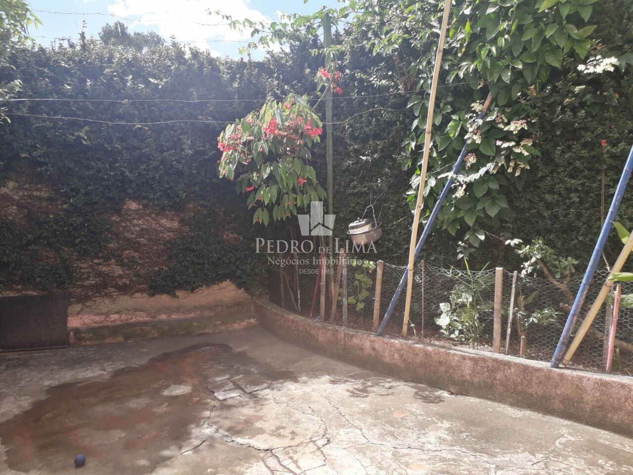 Casa  terrea  com  corredor lateral e quintal na Vila Curuça