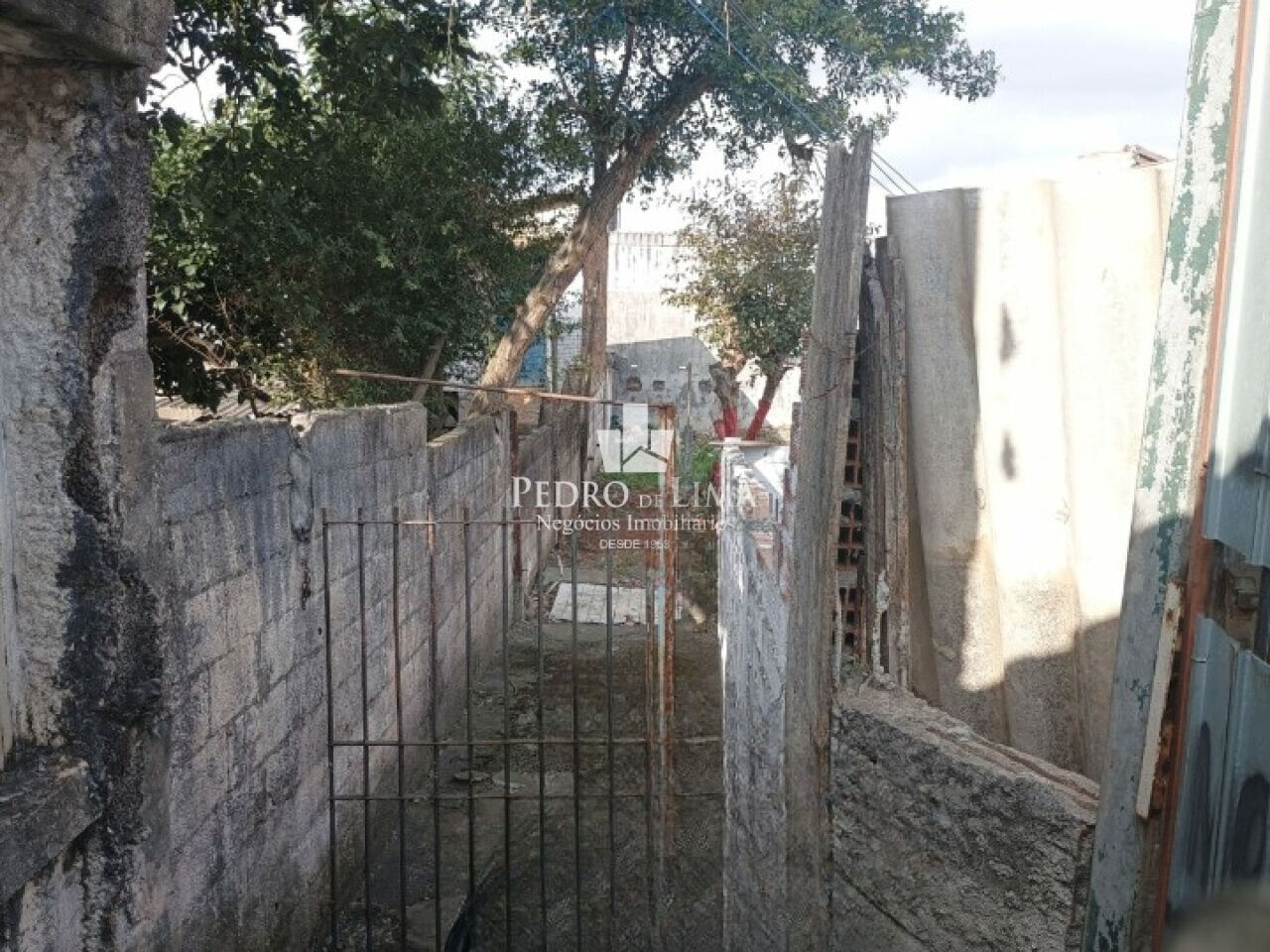 Terreno de 1250 m²  25x50 na Rua Ponte Rasa com a Rua tomas de aquino Pereira - Ponte Rasa