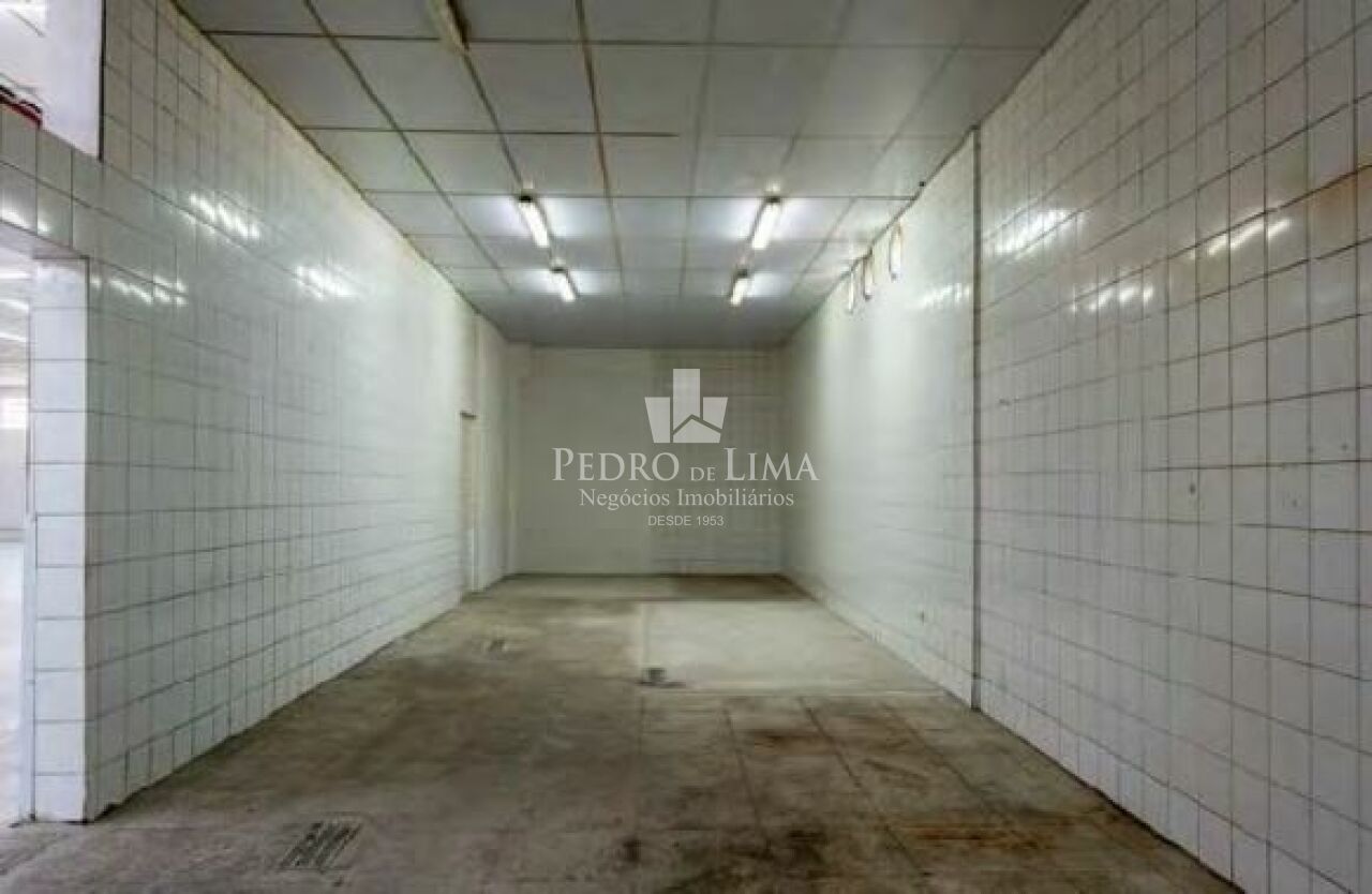 Oportunidade Única, Galpão Comercial na Vila Paranaguá, com 3.610 m² - Ermelino Matarazzo