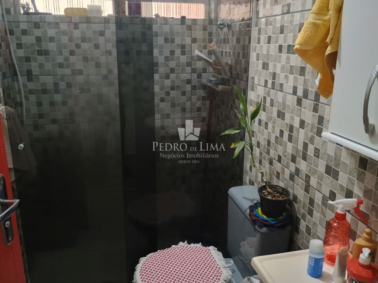 Casa Terrea na Vila Rio Branco - Ponte Rasa