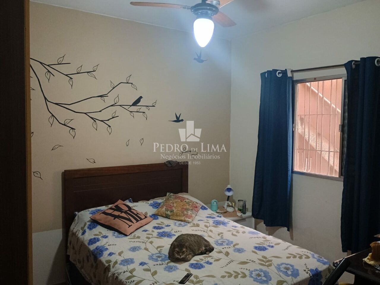 imagem do imovel Casa Terrea na Vila Rio Branco - Ponte Rasa ref: PE44343