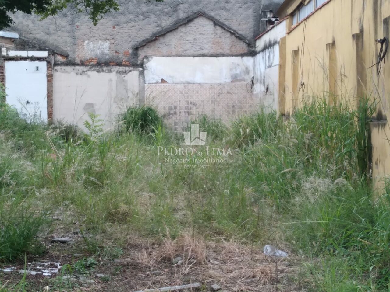 Foto do imovél similar