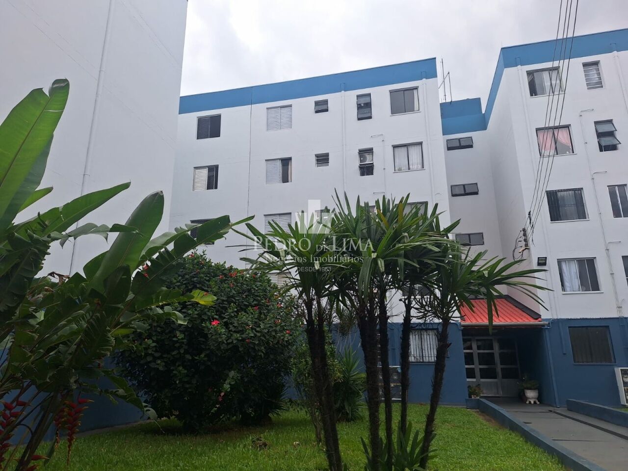 Apartamento padrão no Jardim Nordeste - Arthur Alvim