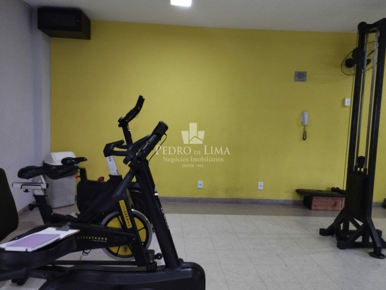 Apartamento  com 3 dormitórios e 1 vaga em Guarulhos