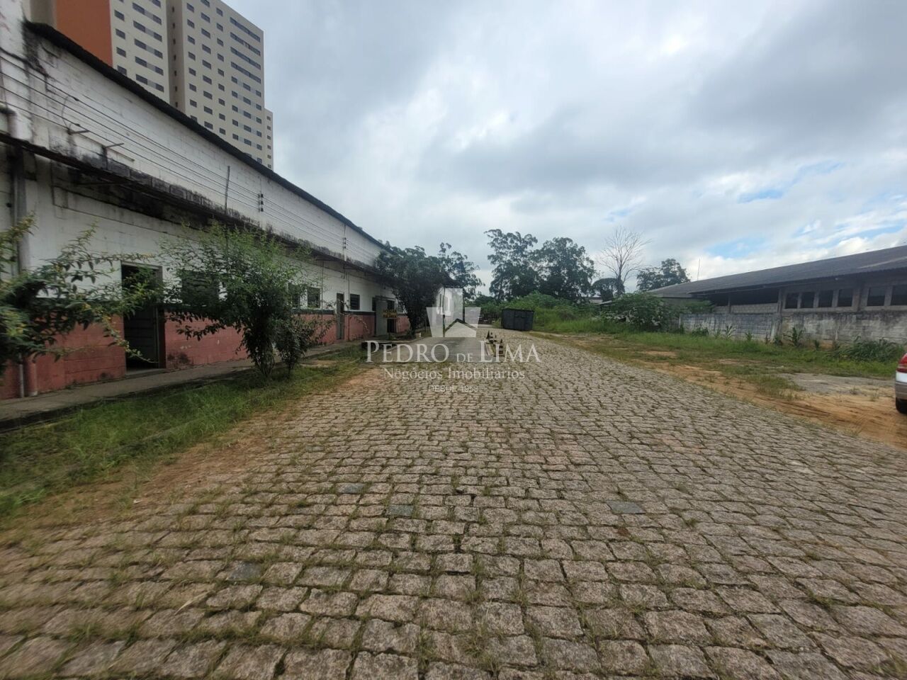 Galpão 3500 m² regiao do Jose Bonifacio 